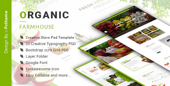 Organic Store PSD Template - Food Retail TFx Katsuo Gage