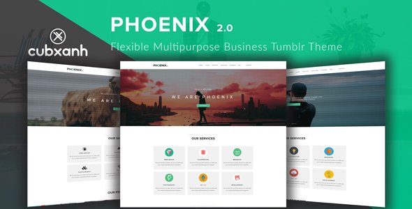 Phoenix - Flexible Multipurpose Business Tumblr Theme - Business Tumblr TFx Russell Marcus