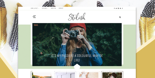 Stilish - Responsive WordPress Blog Theme TFx Chip Alphonsus
