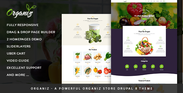 Organiz - A Powerful Organiz Store Drupal 8 Theme - Retail Drupal TFx Oswin Vortigern