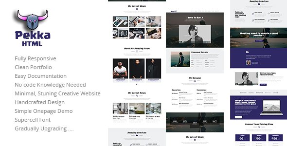 Pekka - Clean Personal Resume / Portfolio Template - Resume / CV Specialty Pages TFx Rocky Kaoru