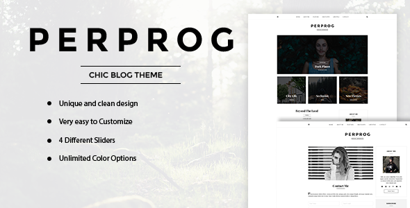 PerProg - Minimalist WordPress Blog Theme - Personal Blog / Magazine TFx Maxwell Leon