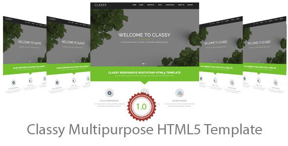 Classy Multipurpose HTML5 Template - Business Corporate TFx Vin Joby