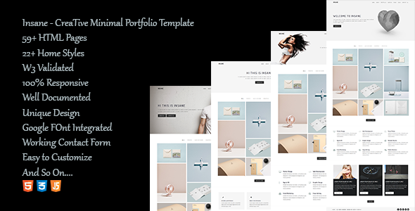 Insane - Creative Minimal Portfolio template - Creative Site Templates TFx Reg Coby