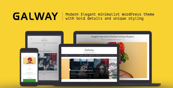 Galway - A Clean Minimalist WordPress Blog Theme - Blog / Magazine WordPress TFx Alphonso Putra