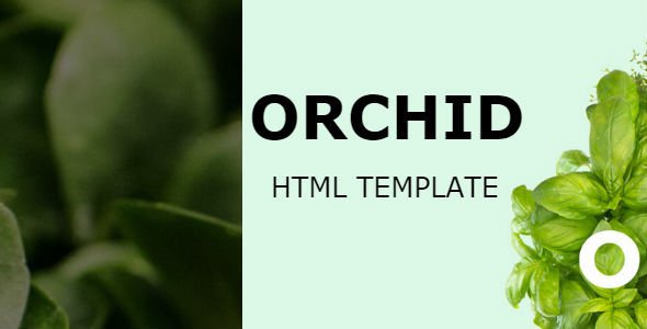 Orchid | HTML Template
           TFx Jezza Foster