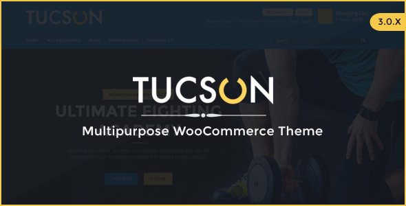 Tucson - Sports Store WooCommerce WordPress Theme
           TFx Merit Leroi