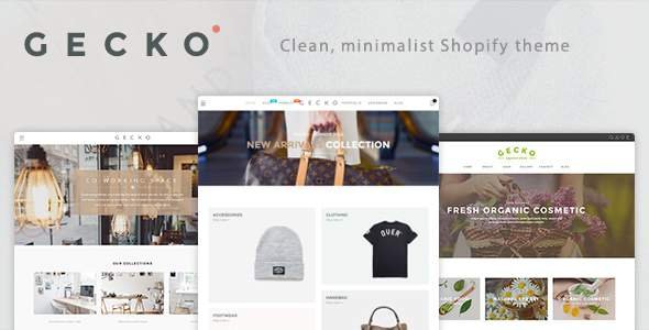 Gecko - Responsive Shopify Theme
           TFx Barnabas Daichi