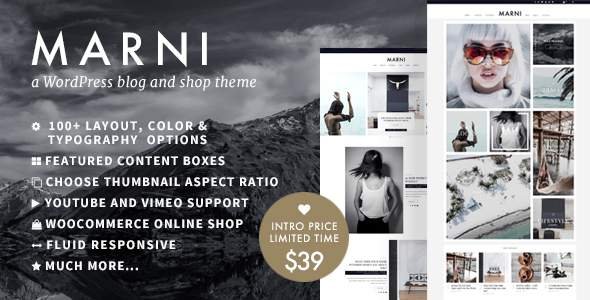 Marni – a WordPress Blog & Shop Theme
           TFx Steven Ulric