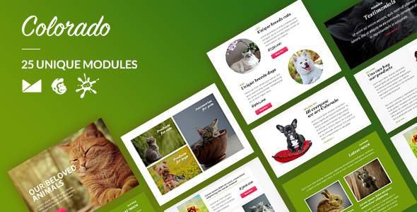 Colorado Email-Template + Online Builder
           TFx Evaik Lauren