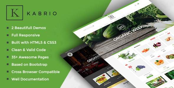 Kabrio - Food Store Multipurpose HTML Template
       TFx Hilary Collin