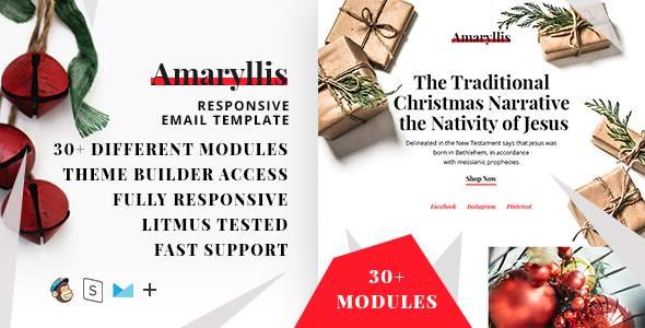 Responsive Christmas Email Template + StampReady Builder
       TFx Sylvester Ernie