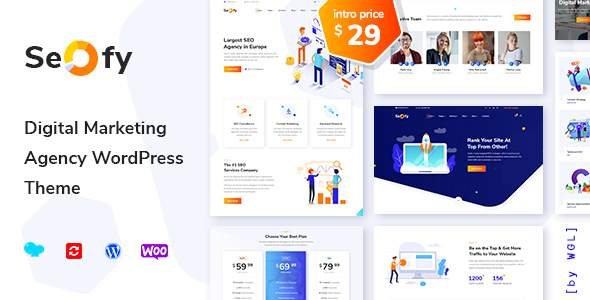 Seofy - Digital Marketing Agency WordPress Theme
       TFx Alva Karekin