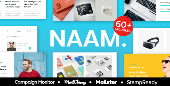 NAAM - Multipurpose Responsive Agency Email Template With StampReady Builder
       TFx Tyrrell Richard