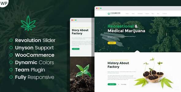 Medactive - Medical Cannabis WordPress Theme
       TFx Ivan Israel