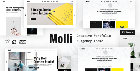 Molli - Creative Portfolio & Agency Theme
       TFx Sora Justy