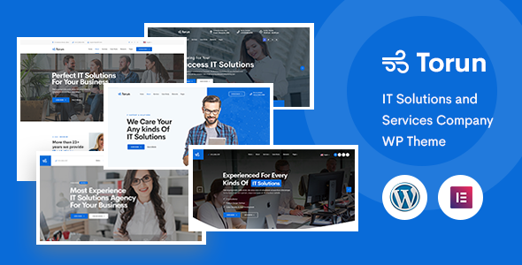 Torun  IT Services Company WordPress Theme TFx