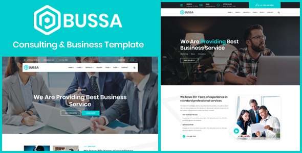 Bussa - Consulting amp Business Template TFx