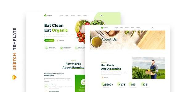 Farmino  Organic Food Template for Sketch TFx