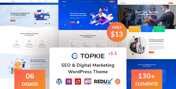 Topkie - SEO Marketing WordPress Theme TFx