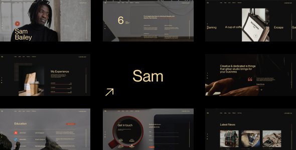 Sam Bailey - Personal CVResume WordPress Theme TFx