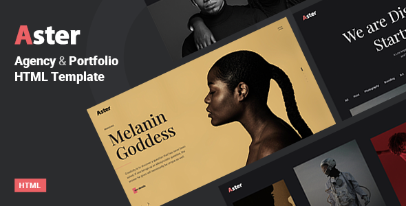 Aster - Portfolio Agency HTML Template TFx