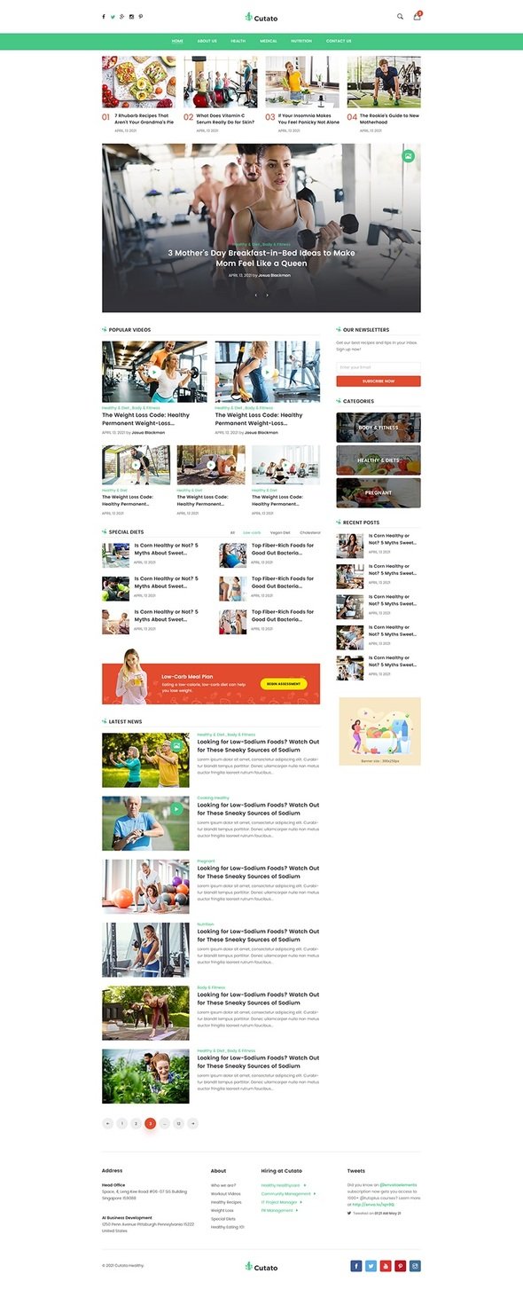 Cutato - Healthy Lifestyle Magazine amp Blog Elementor Template Kit TFx