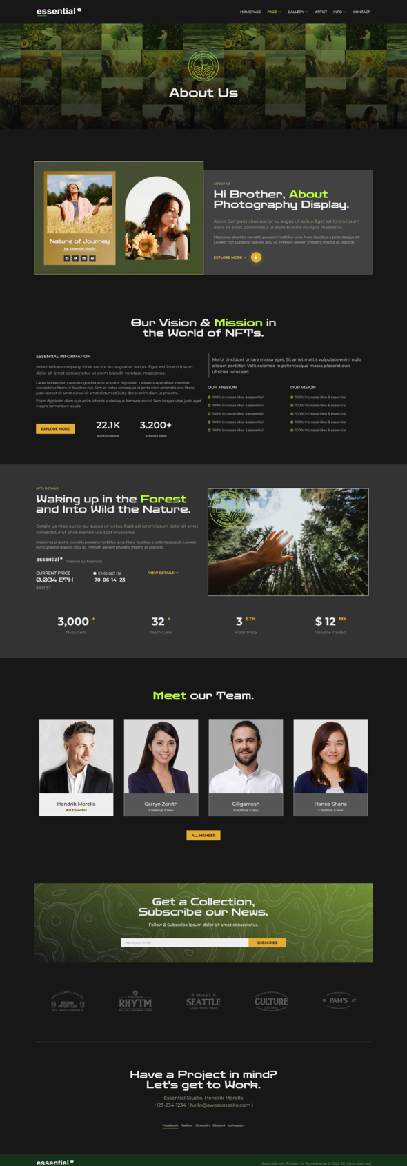 Essential - Photography NFT Portfolio Elementor Template Kit TFx