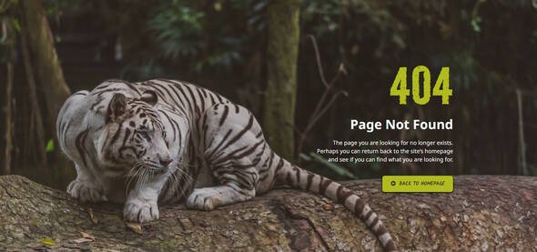 Zooventour - Safari amp Zoo Elementor Pro Template Kit TFx