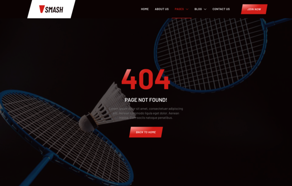 Smash  Badminton School amp Sports Club Elementor Template Kit TFx