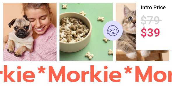 Morkie - Pet Shop and Pet Care Theme TFx